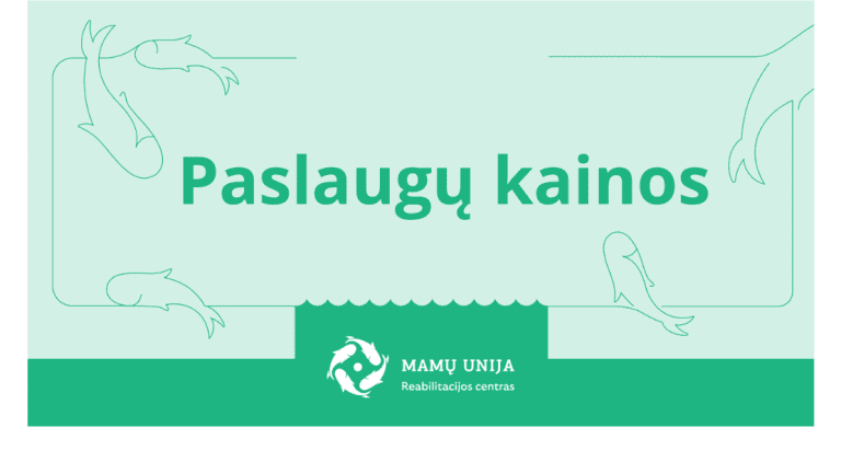 Paslaugų kainos